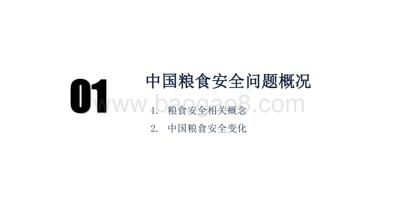 2020-2021中国粮食供需安全研究报告.pdf_第3页