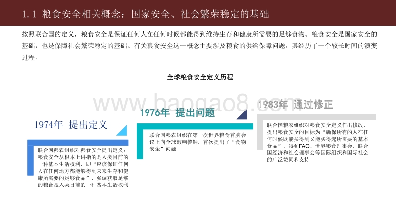 2020-2021中国粮食供需安全研究报告.pdf_第4页