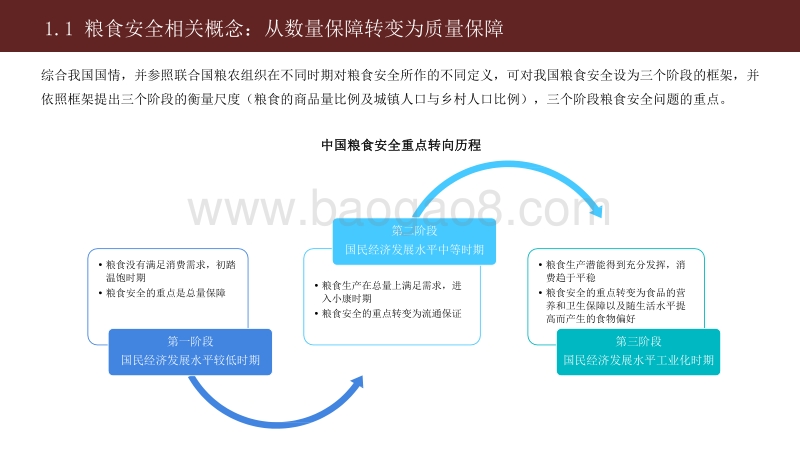2020-2021中国粮食供需安全研究报告.pdf_第5页