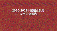 2020-2021中国粮食供需安全研究报告.pdf