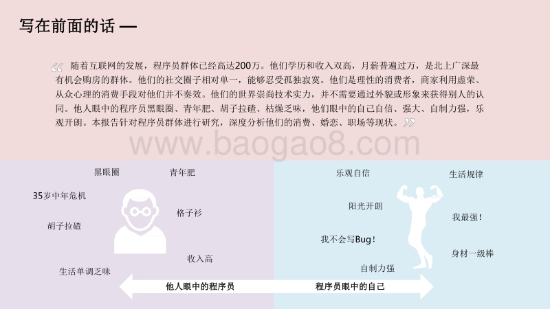 2020-2021程序员人群洞察报告.pdf_第2页