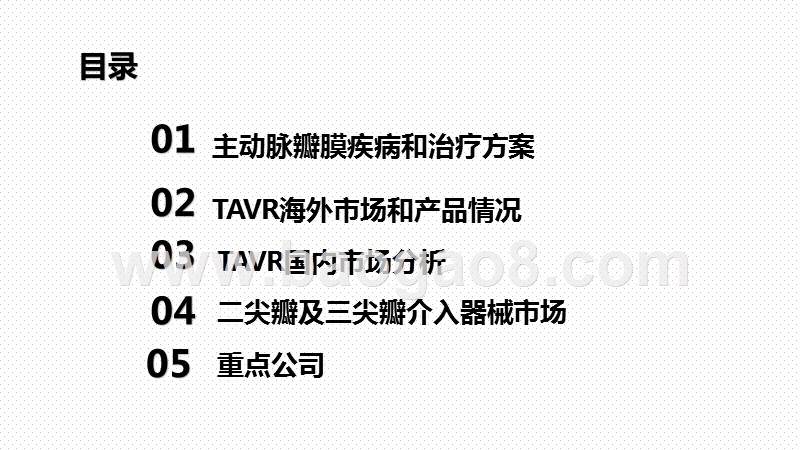 2020心脏瓣膜市场发展现状及前景研究报告.pptx_第2页