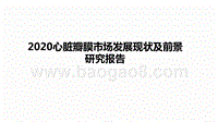 2020心脏瓣膜市场发展现状及前景研究报告.pptx