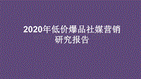 2020年低价爆品社媒营销研究报告.pdf