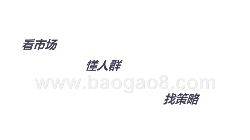 2020-2021二次元营销洞察分析报告.pptx_第2页