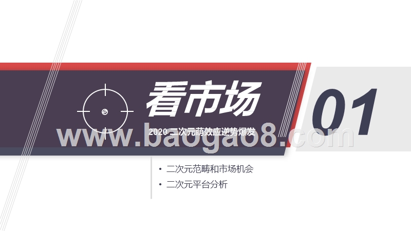 2020-2021二次元营销洞察分析报告.pptx_第3页