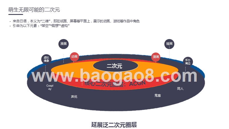 2020-2021二次元营销洞察分析报告.pptx_第4页