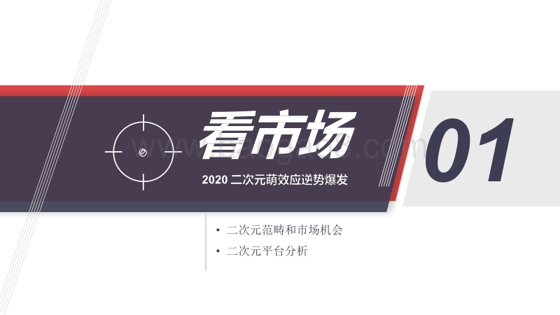 2020-2021二次元营销洞察分析报告.pdf_第3页