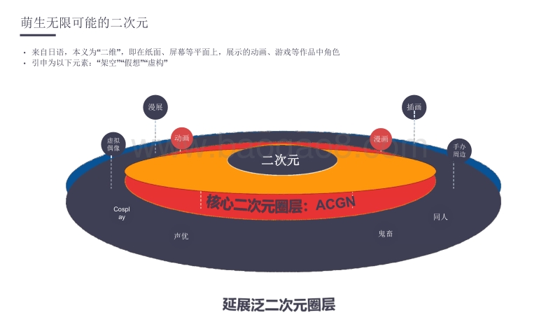 2020-2021二次元营销洞察分析报告.pdf_第4页