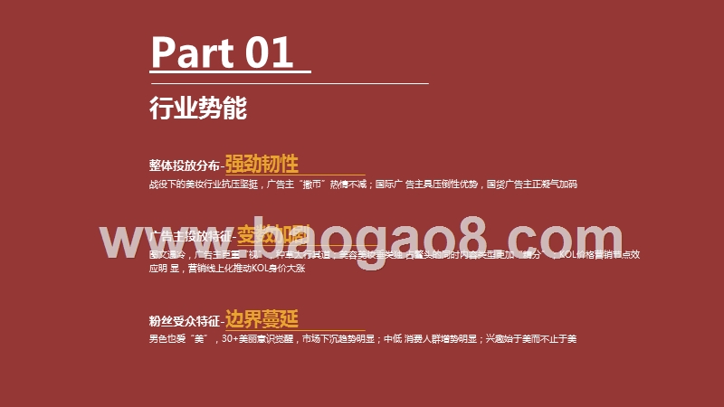 2020-2021美妆行业双十一大数据研究报告.pptx_第3页