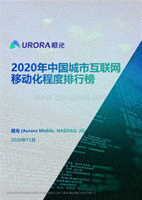 2020年中国城市互联网移动化程度排行榜.pdf