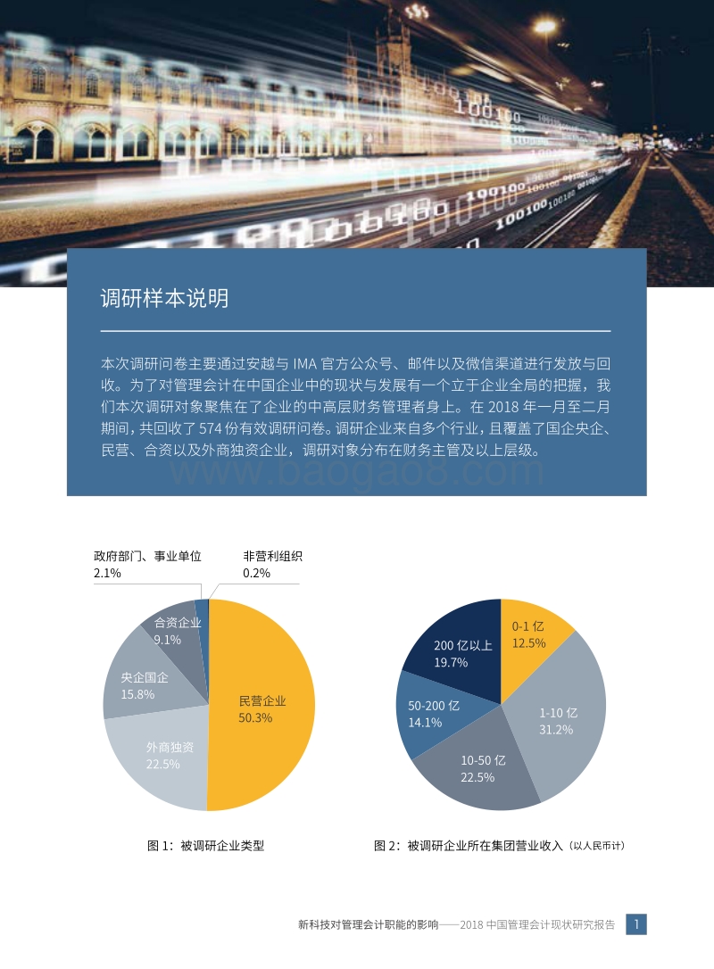 2018中国管理会计现状研究报告.pdf_第5页