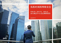 危机时刻的网络安全.pdf