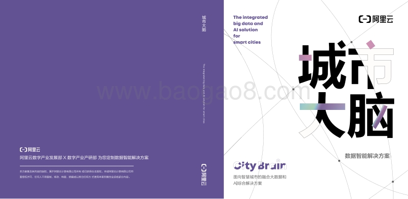 阿里云城市大脑：数据智能解决方案.pdf_第1页