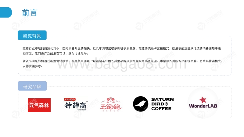 新锐快消品出圈营销分析报告.pdf_第2页