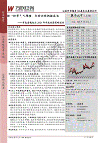 有色金属行业2021年年度投资策略报告：新一轮景气可持续，与时迁移把握成长.pdf