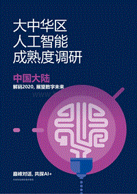 大中华区人工智能成熟度调研.pdf