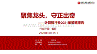 计算机行业2021年策略报告：聚焦龙头，守正出奇.pdf