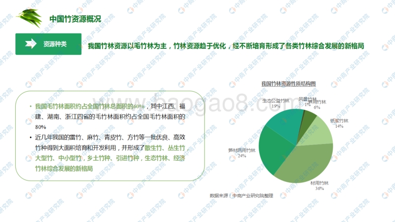 2020中国竹产业链地图研究咨询报告.pdf_第5页