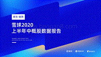 雪球2020上半年中概股数据报告.pdf