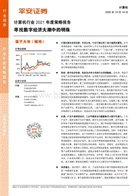 计算机行业2021年度策略报告：寻找数字经济大潮中的明珠.pdf