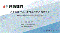 锂电池行业2021年度投资策略：多重共振向上，看好龙头和周期性环节.pdf