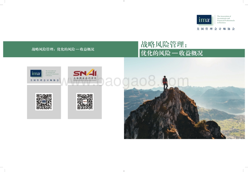 战略风险管理：优化的风险-收益概况.pdf_第1页