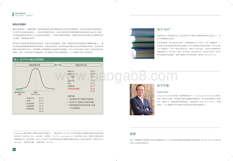 战略风险管理：优化的风险-收益概况.pdf_第3页