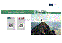 战略风险管理：优化的风险-收益概况.pdf