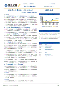 2021光伏行业策略报告：能源革命大幕拉起，光伏加速上行.pdf