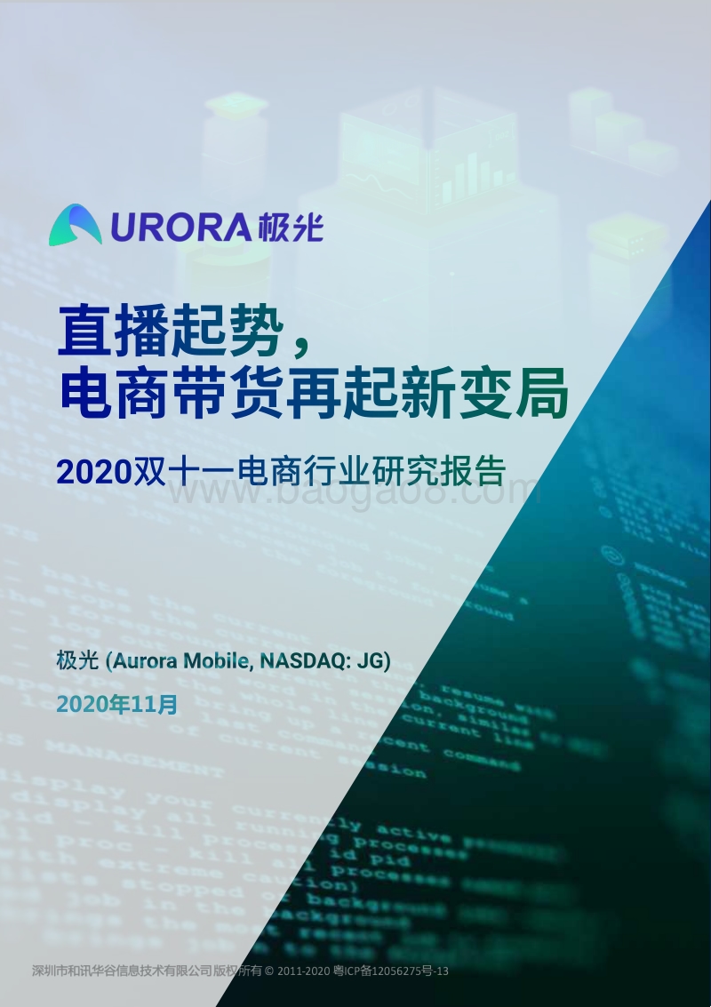 2020双十一电商行业研究报告.pdf_第1页