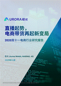 2020双十一电商行业研究报告.pdf