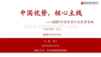 2021年度医药行业投资策略：中国优势，核心主线.pdf