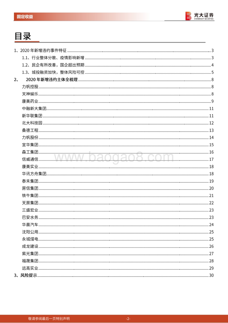 债券违约专题研究之十五：2020年债券违约手册.pdf_第2页