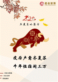 2021年度策略报告：疫后产需齐复苏，牛年恒指闯三万.pdf