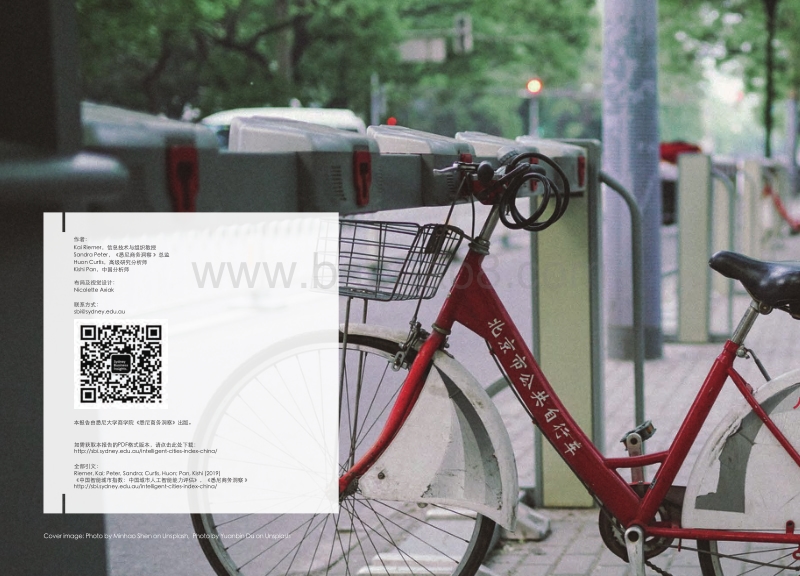 2020中国智能城市指数.pdf_第2页