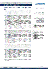 新框架看2021年中国经济：变局下的风险与红利.pdf