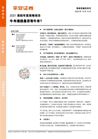 2021港股年度策略报告：牛年港股是否有牛市？.pdf