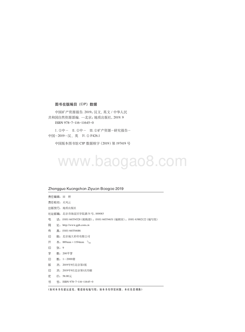 2019中国矿产资源报告.pdf_第3页