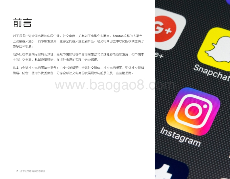 全球社交电商图鉴与案例.pdf_第2页