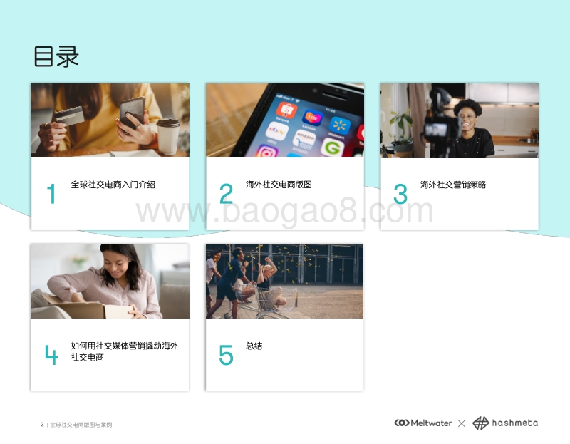 全球社交电商图鉴与案例.pdf_第3页