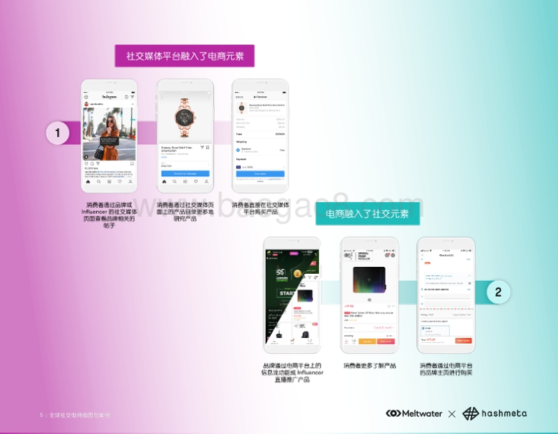 全球社交电商图鉴与案例.pdf_第5页