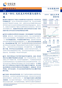 光伏垂直一体化：光伏龙头的利器与进阶之路.pdf
