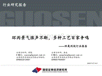 环氧丙烷行业报告：环丙景气涨声不断，多种工艺百家争鸣.pdf