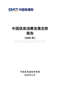 2020年中国信息消费发展态势报告.pdf