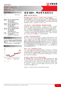 2021年新车型研究：展望2021：哪些新车值得关注.pdf