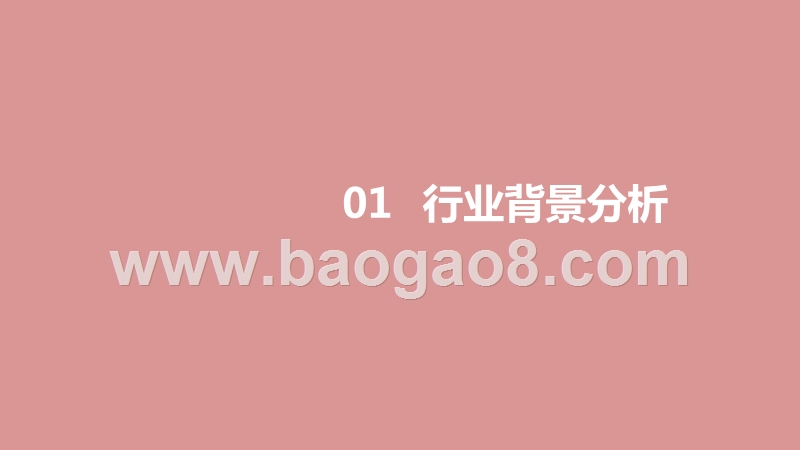 2020-2021锂离子电池行业跨境电商研究报告.pptx_第3页