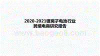 2020-2021锂离子电池行业跨境电商研究报告.pptx
