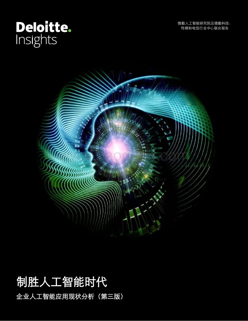 企业人工智能应用现状分析（第三版）：制胜人工智能时代.pdf_第1页
