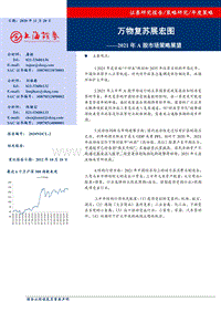 2021年A股市场策略展望：万物复苏展宏图.pdf